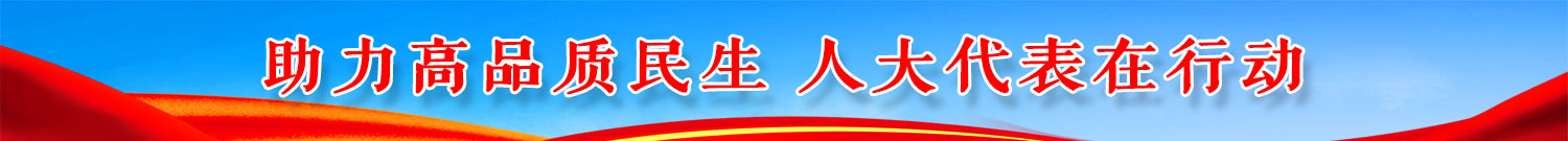 助力高品质民生 人大代表在行动